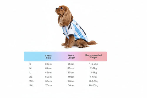 Sf6c3a40345164d6a9b574583b13f6ac1W